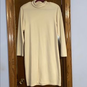 Cream colored turtleneck dress